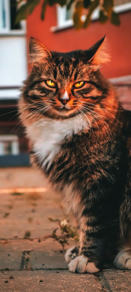 Photograph by PAVEL ARSENOVICH