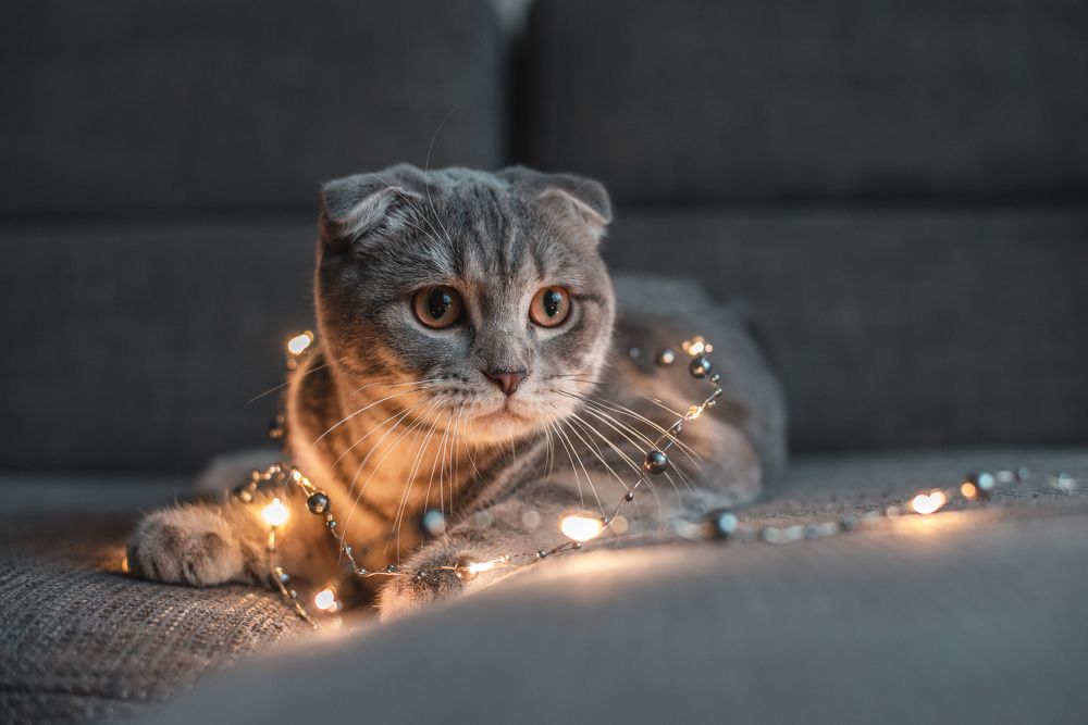 Photograph by Анастасия Жучкова