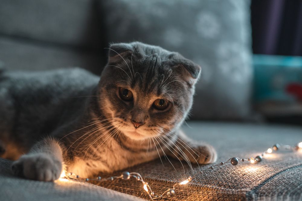 Photograph by Анастасия Жучкова