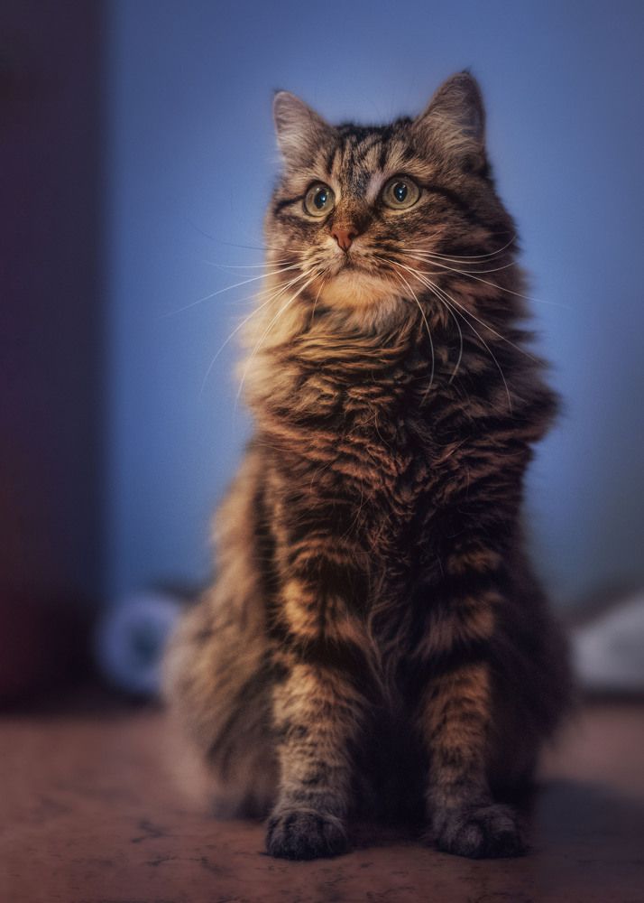 Photograph by Victor Stepanov