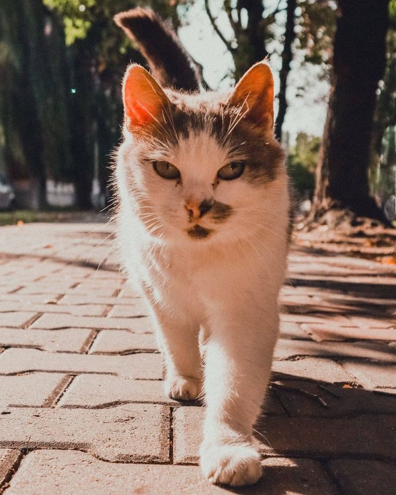 Photograph by PAVEL ARSENOVICH