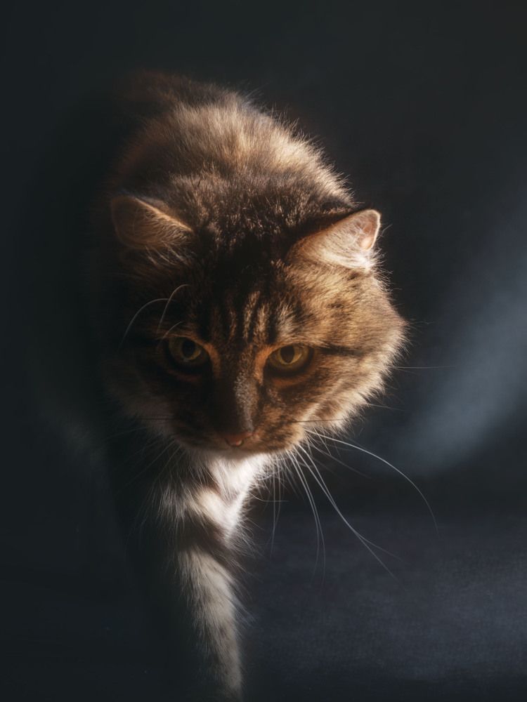 Photograph by Victor Stepanov