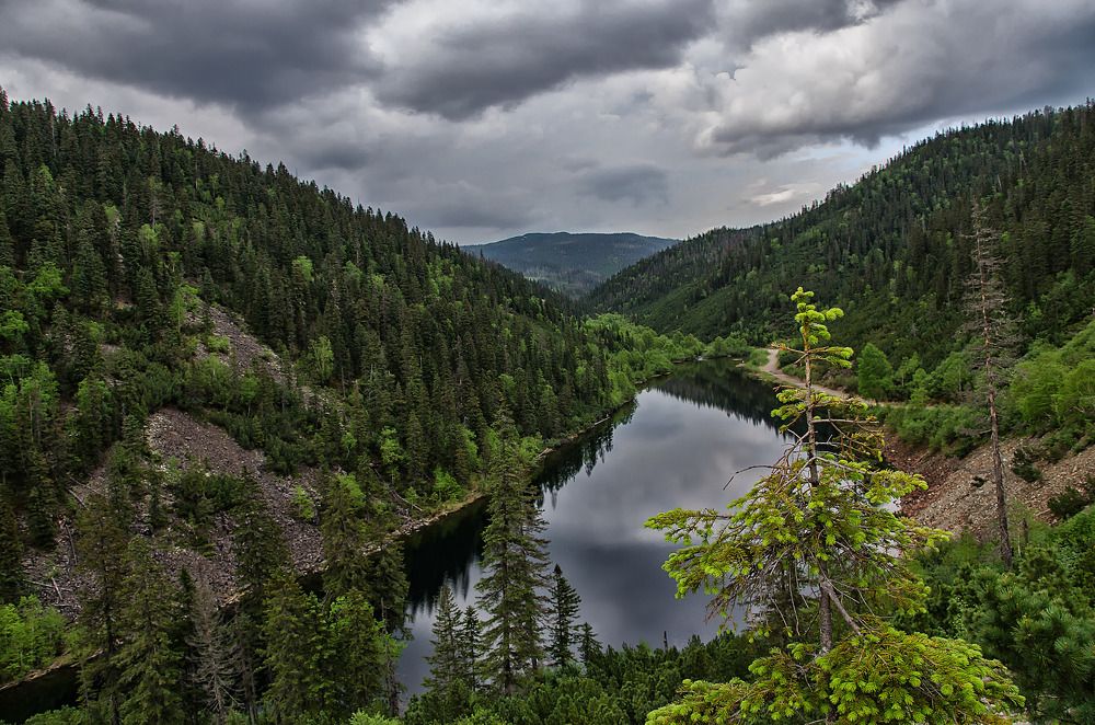 Photograph by Даниил Марков