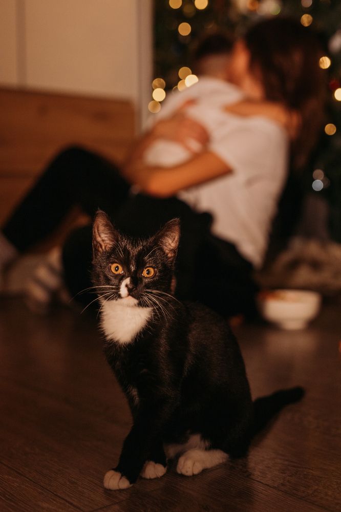 Фотография автора Anna Pukinska