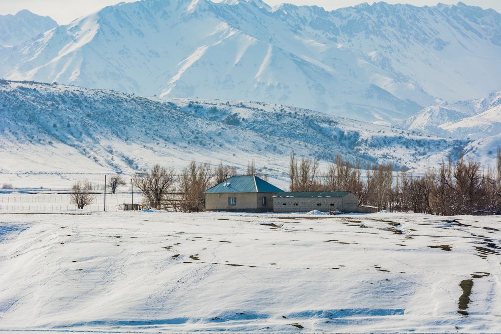 Photograph by Юлия Подлеснова