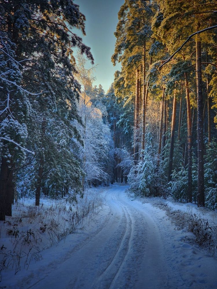 Photograph by Konstantin Martynov