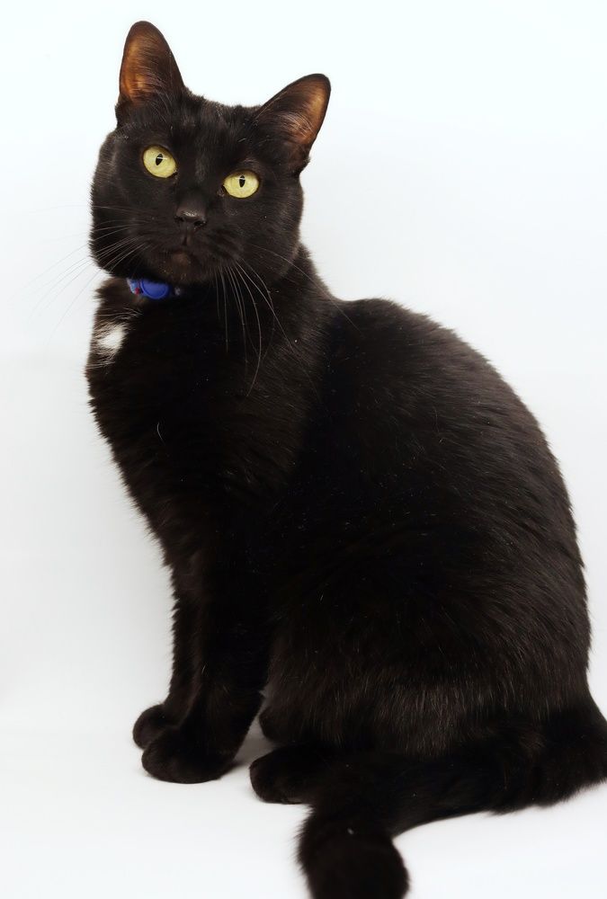 Photograph by Светлана Беспалко