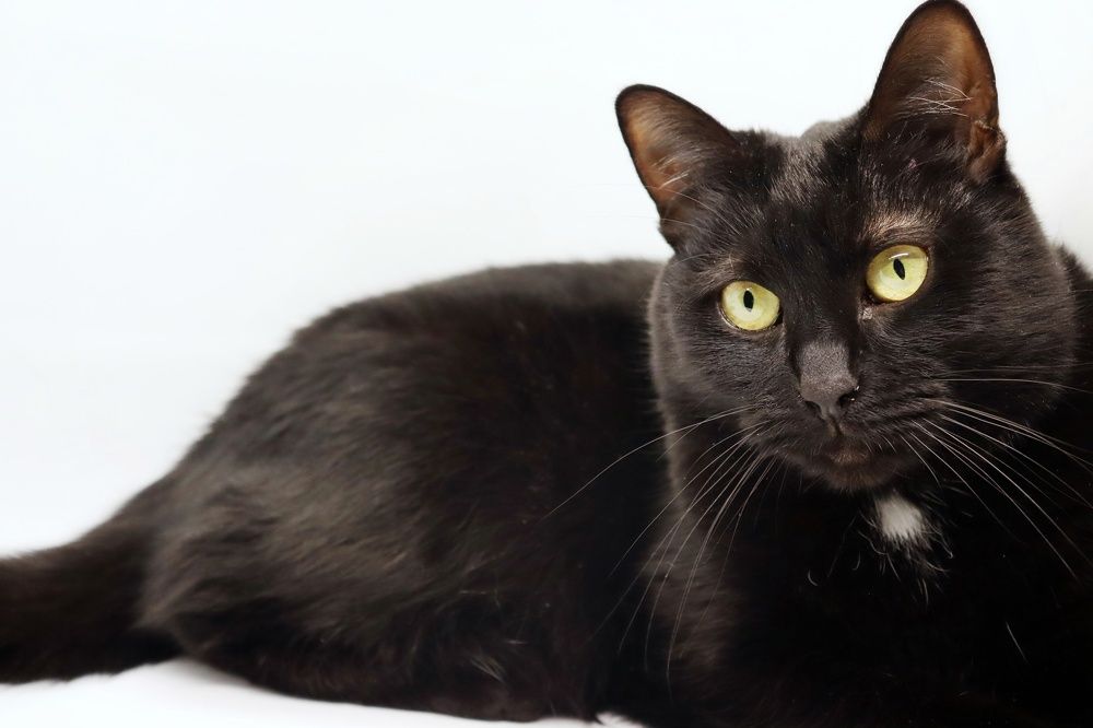 Photograph by Светлана Беспалко