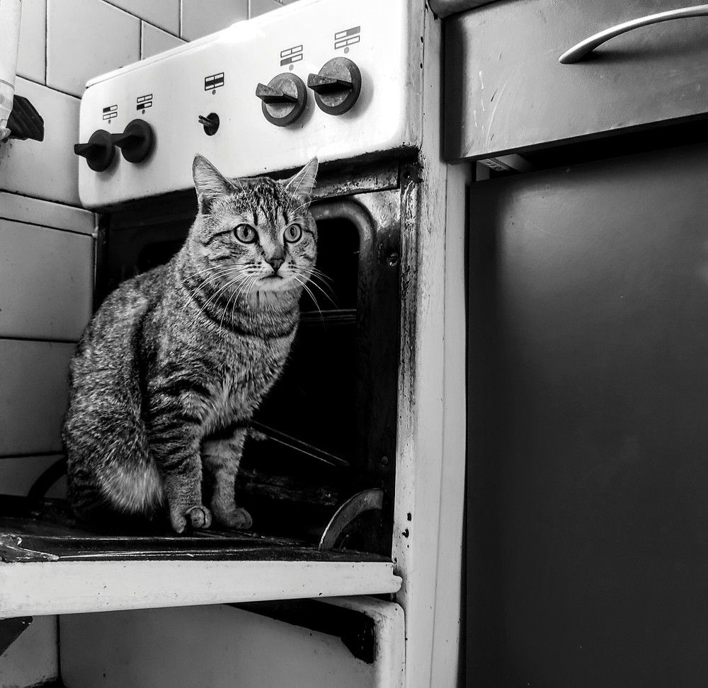 Photograph by Ирина Саттарова