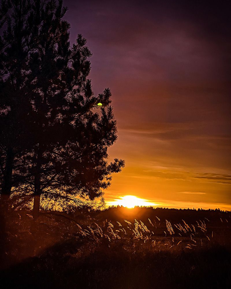 Photograph by Николай Яковлев