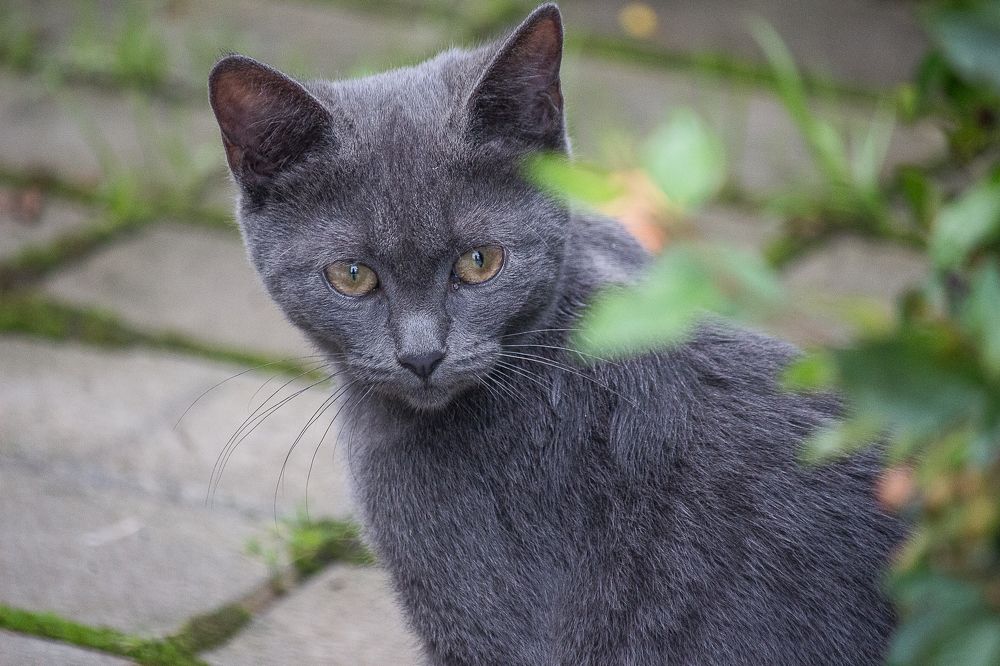 Photograph by Елена Шахова