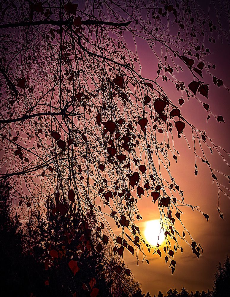 Photograph by Николай Яковлев