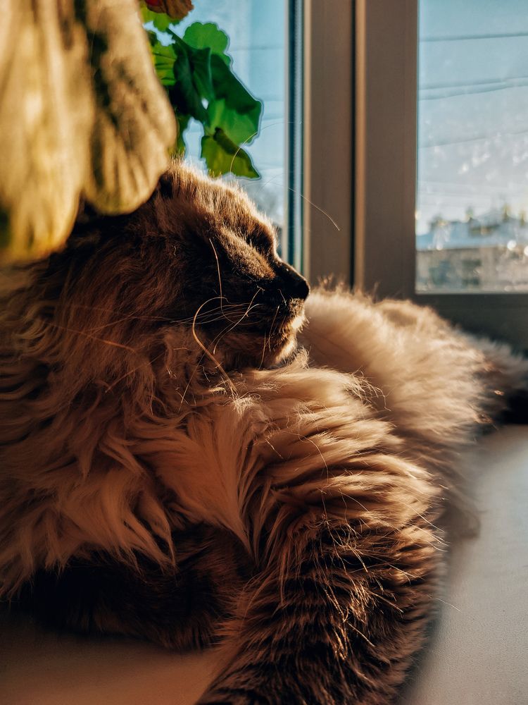 Photograph by Ирина Лучинская