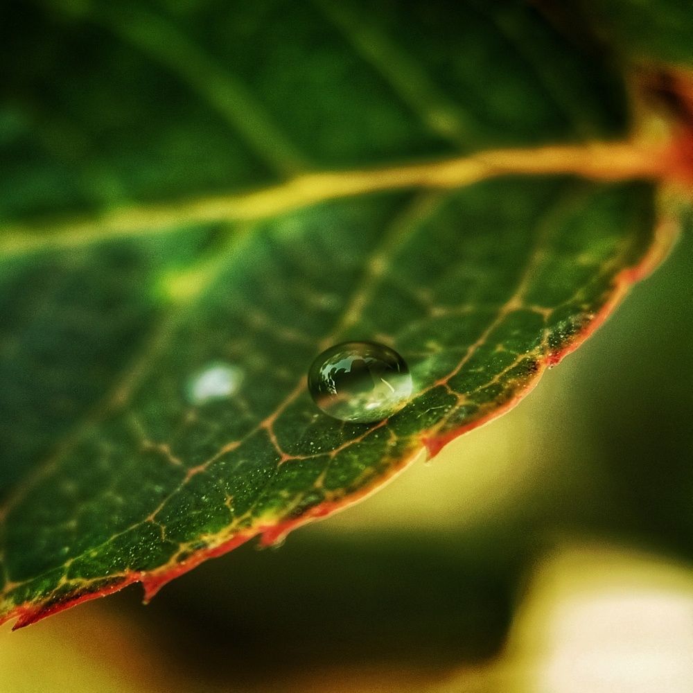 Mobile photography