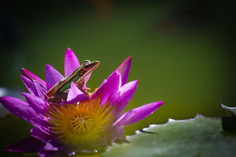 Photograph by Николай Фонарёв