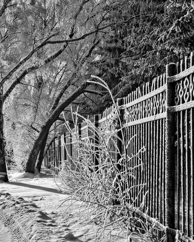 Photograph by Людмила Григорьева