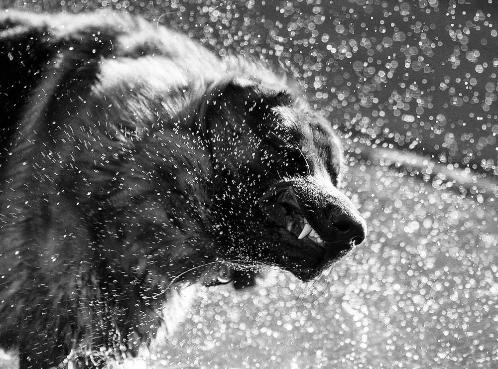 Фотография автора Julia Shepeleva