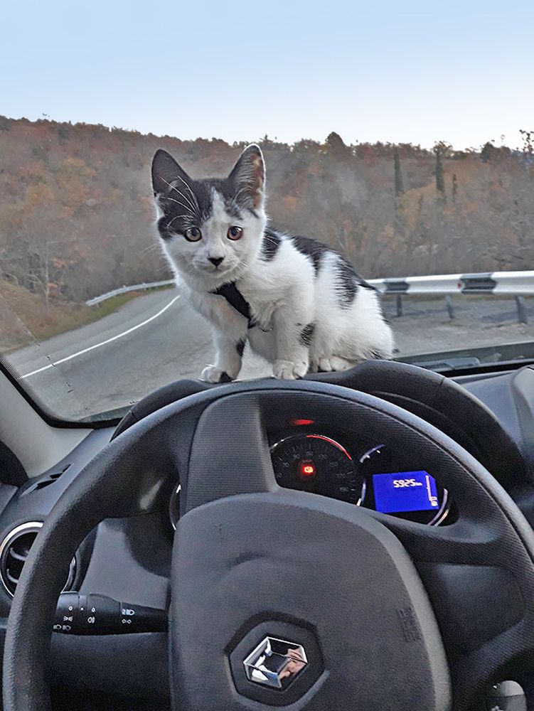 Photograph by Евгений Самулев