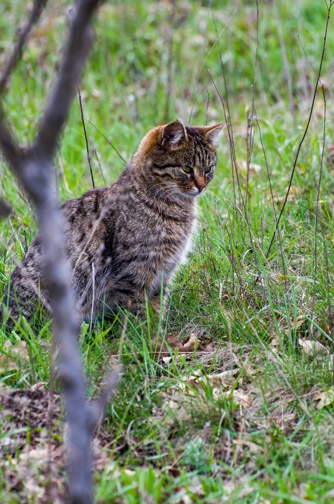 Фотография автора Shilo Vladislav