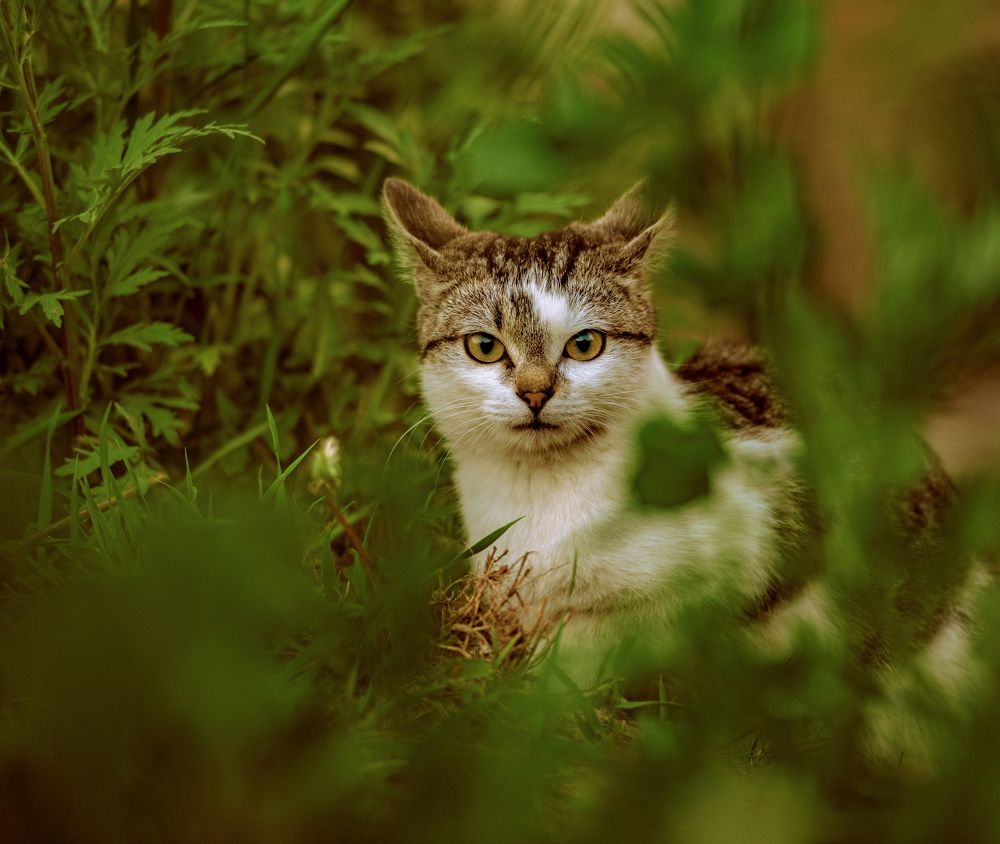 Photograph by ANDREi S.