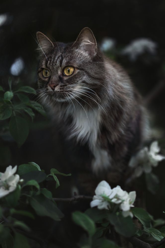 Photograph by Светлана Алексеева