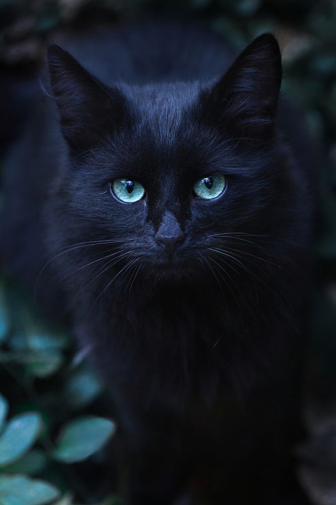 Photograph by Светлана Алексеева