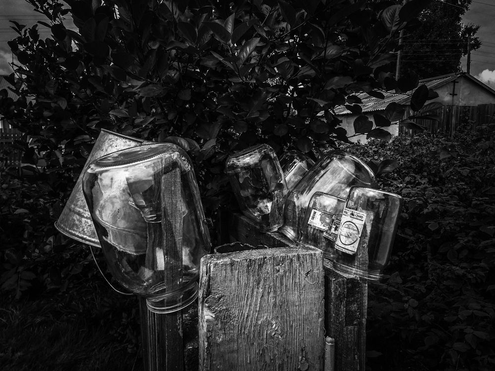 Подготовка к соленьям