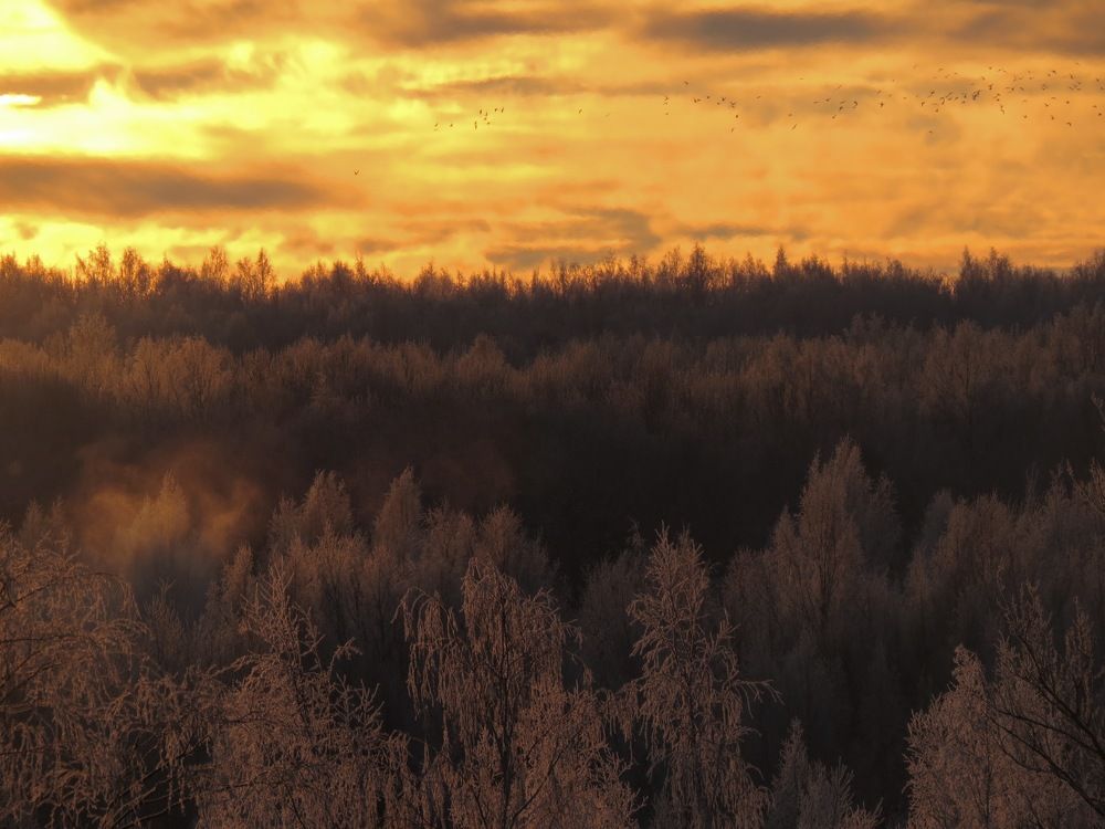 Photograph by Левин Арсений Андреевич