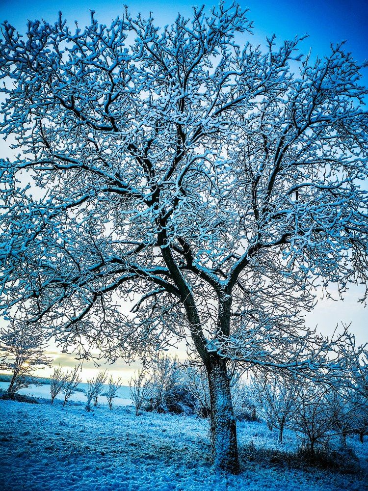 Photograph by Nikolett Mengyi