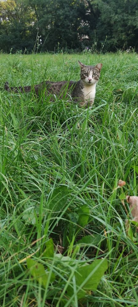 Фотография автора Васильева Ирина