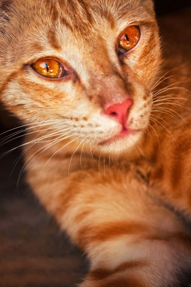 Photograph by Aman yadav