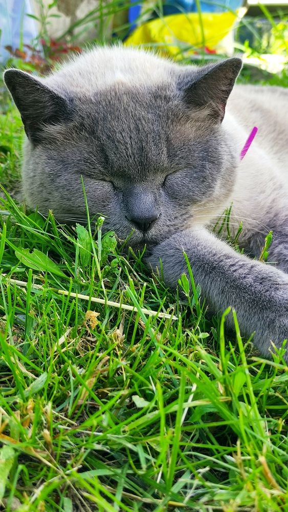 Фотография автора Васильева Ирина