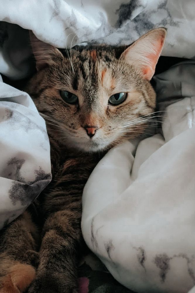 Photograph by Дарья Макаревич