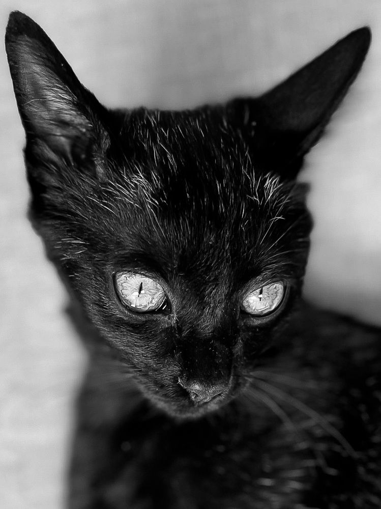 Photograph by Christine ECHEVET-ADAM de VILLIERS