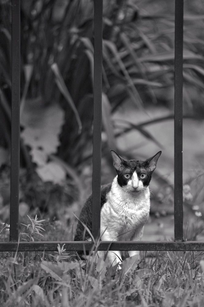 Photograph by Вячеслав Ригачин