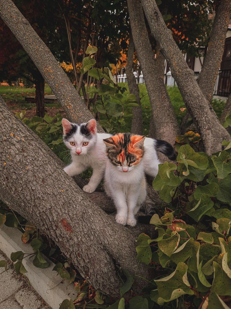 Photograph by Христина Сергейчик