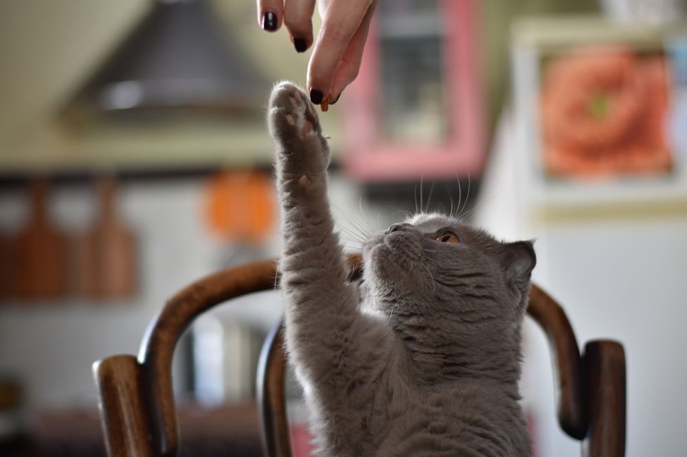 Photograph by С Павел