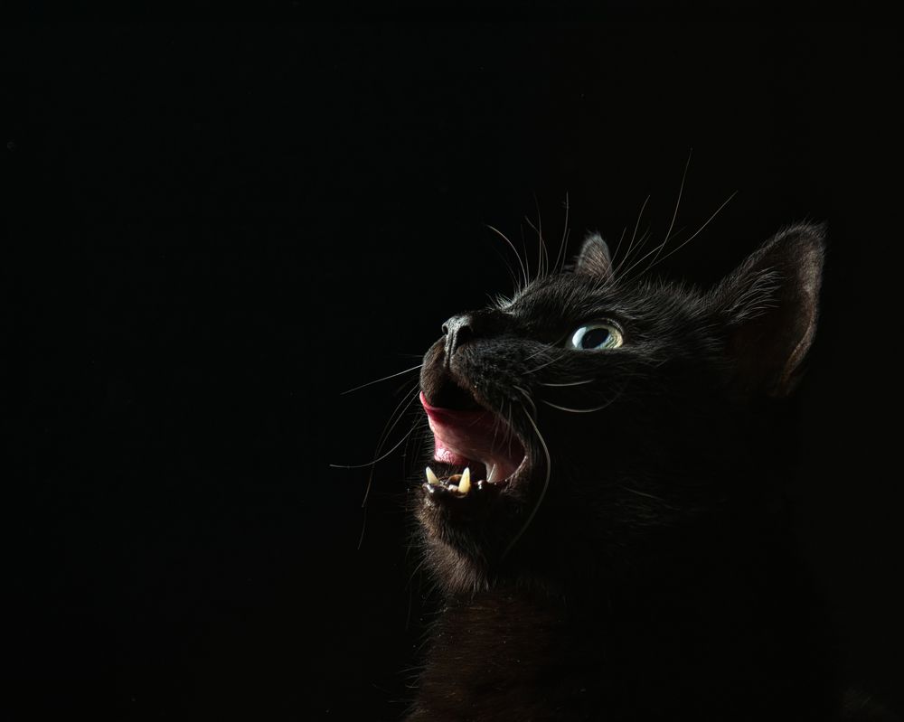 Photograph by Евгения Прокопович