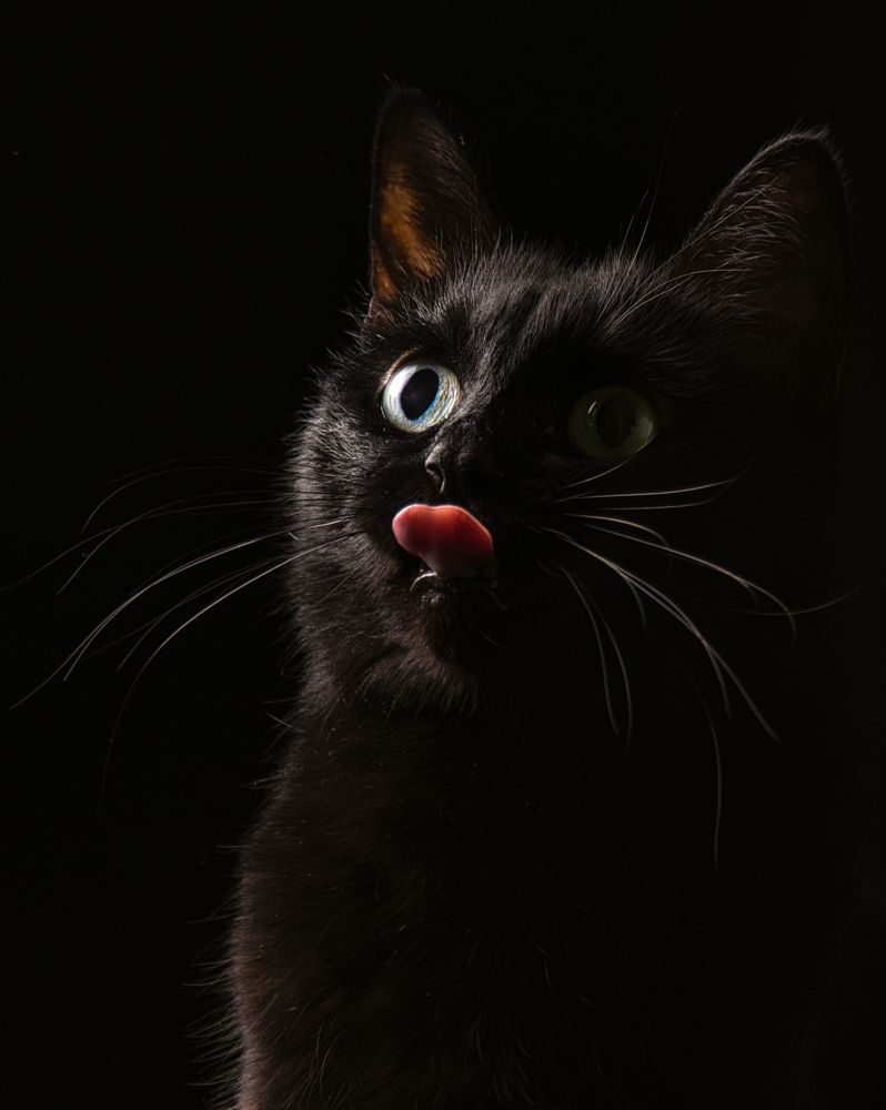 Photograph by Евгения Прокопович