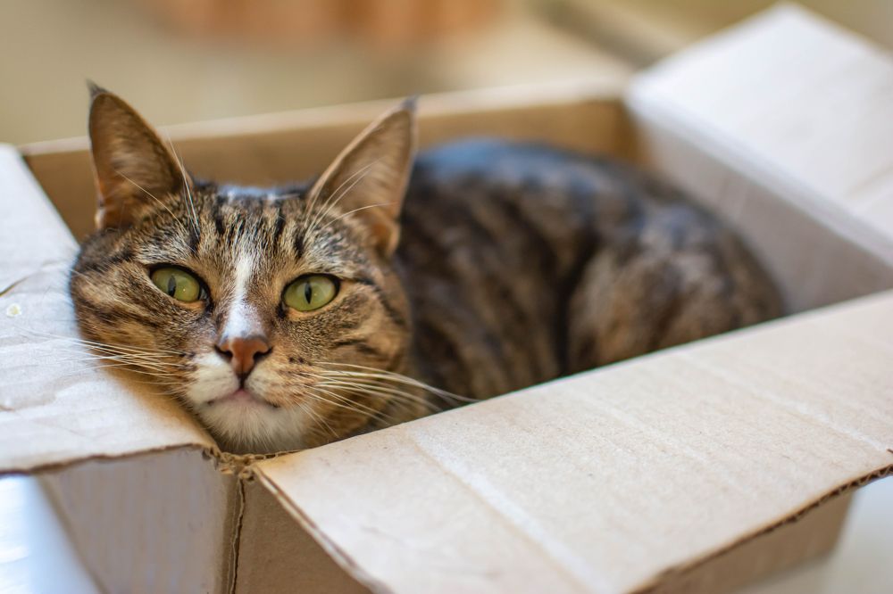 Photograph by Artur Harutyunyan