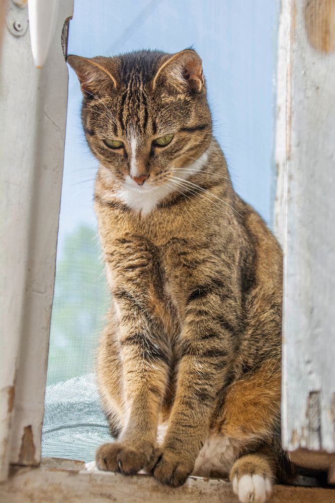 Photograph by Artur Harutyunyan