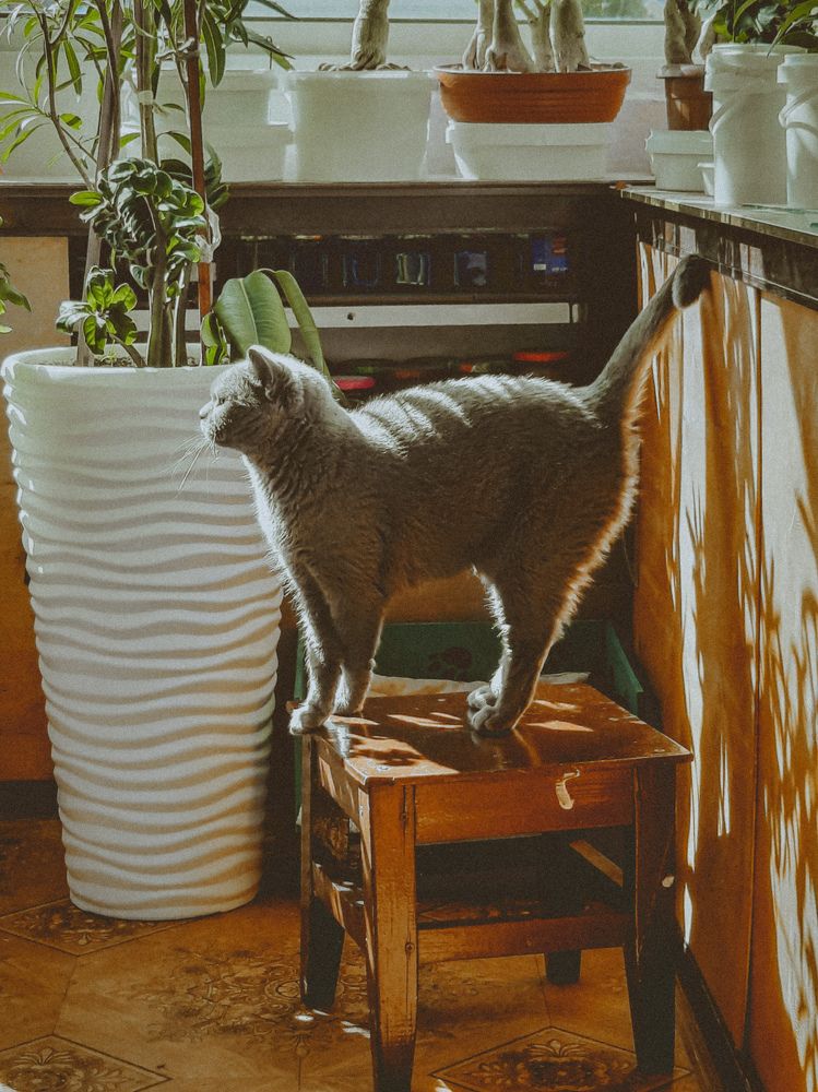 Photograph by Христина Сергейчик