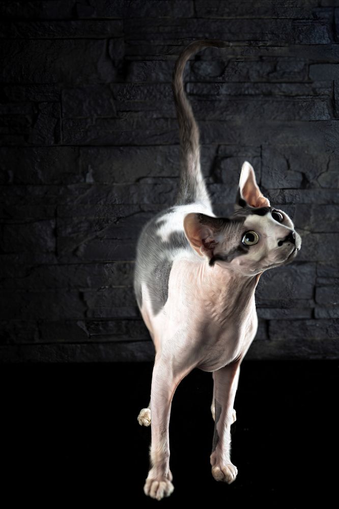 Фотография автора Igor Lukin