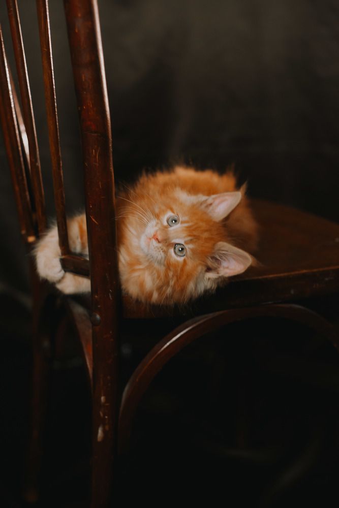 Photograph by Светлана Субботина