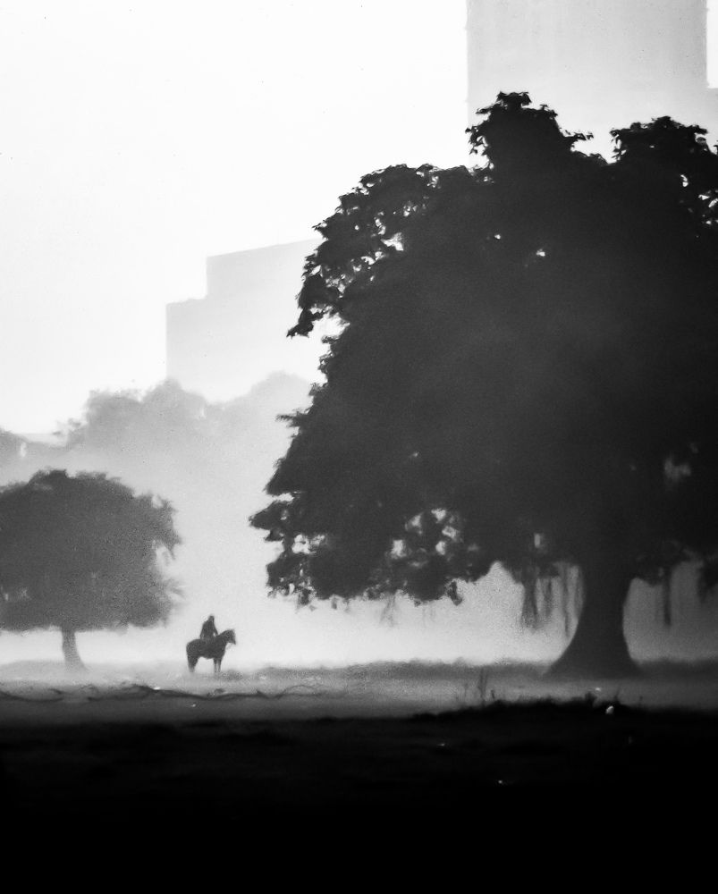 Photograph by Arindam kumar Chanda