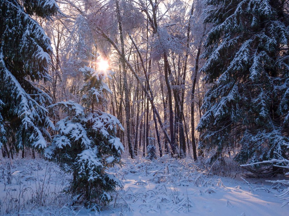 Photograph by Денис Романов