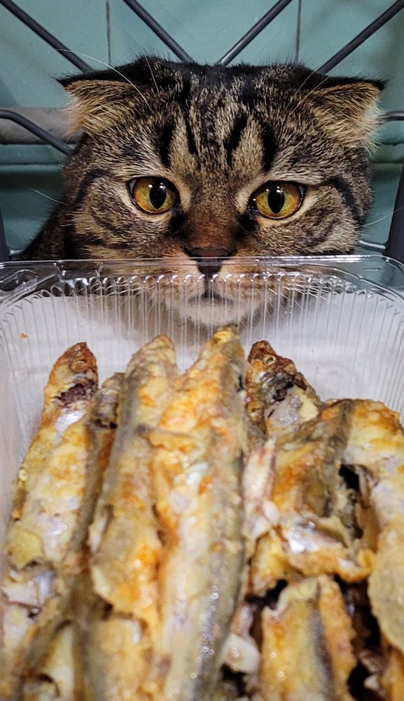 Photograph by Ирина Д.