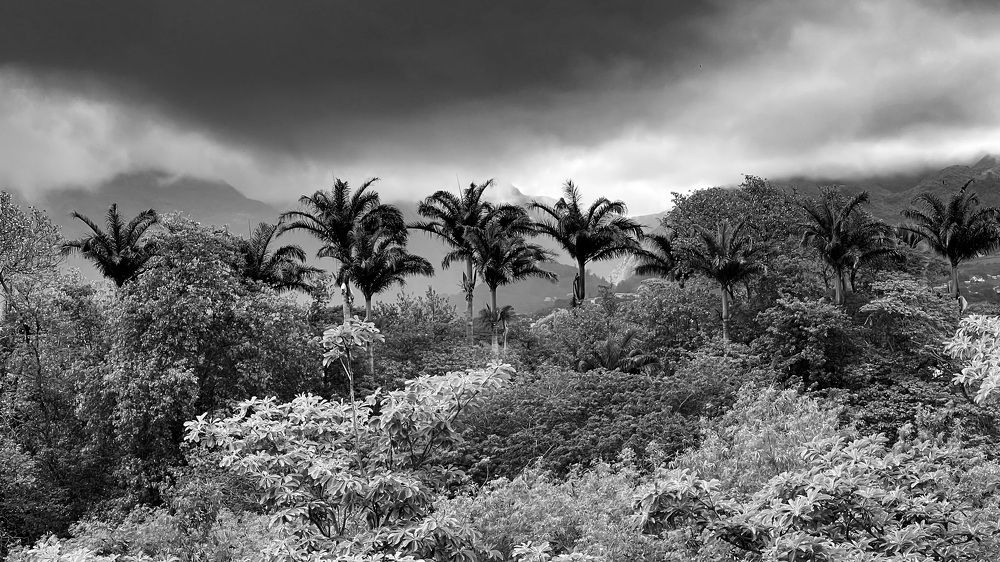 Photograph by Christine ECHEVET-ADAM de VILLIERS