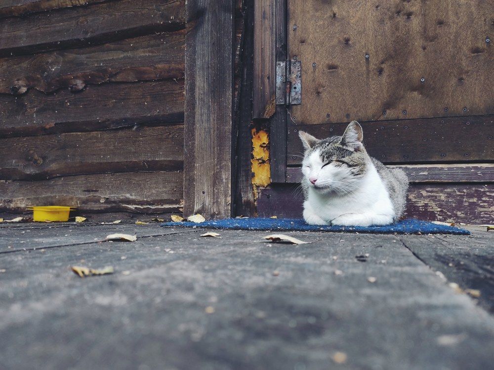 Photograph by Zoia Ishanova