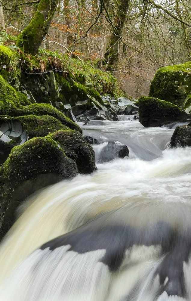 Фотография автора Michael Gault